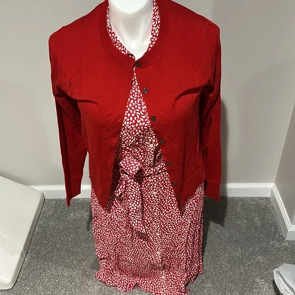 Talbots Red and White Short-Sleeve Printed Midi Shirt Dress - Picture 7 of 8